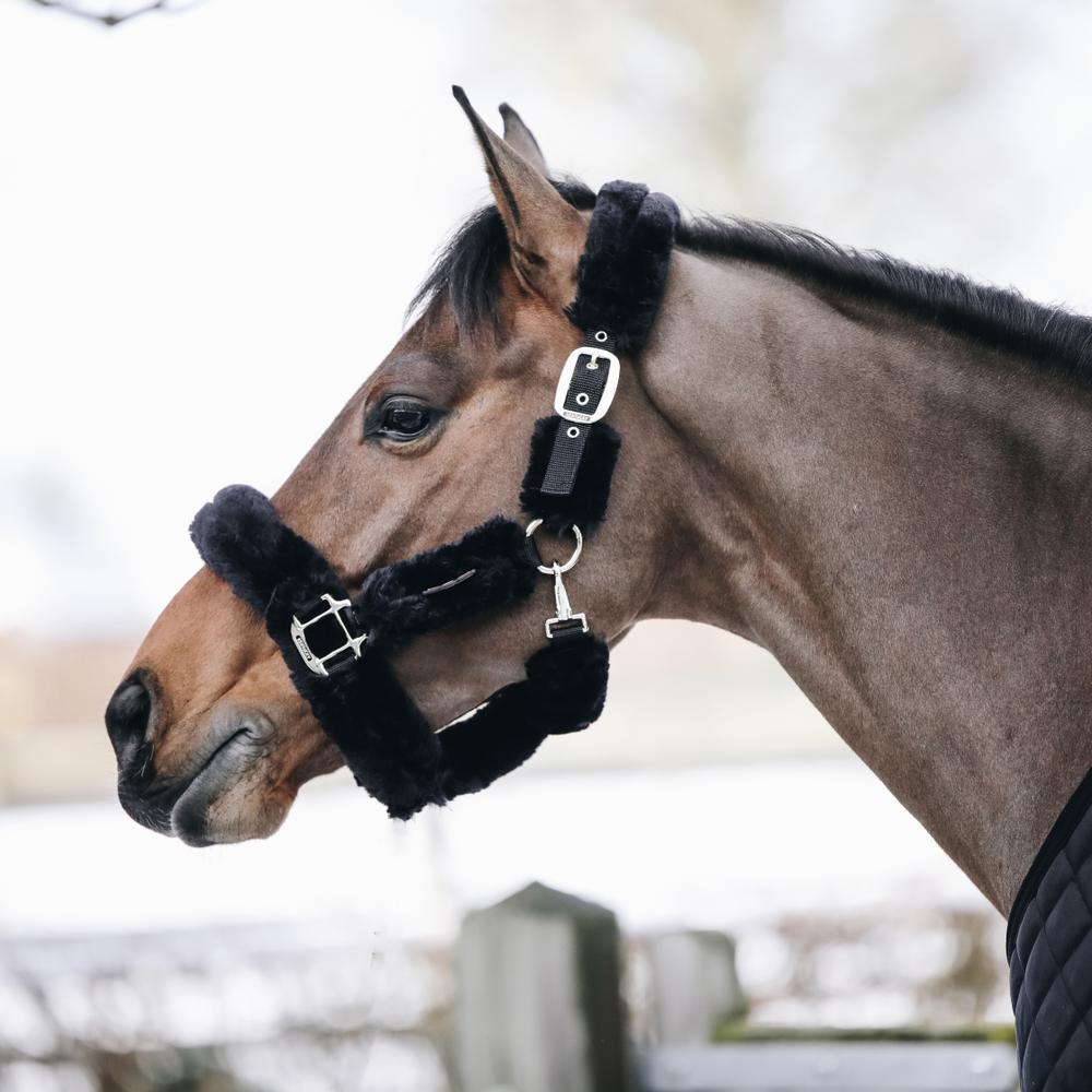 Kentucky Horsewear Sheepskin Shipping Halter - Equiluxe Tack