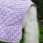 Kentucky Horsewear Show Rug Sammy Collection 160g Old Rose - Equiluxe Tack