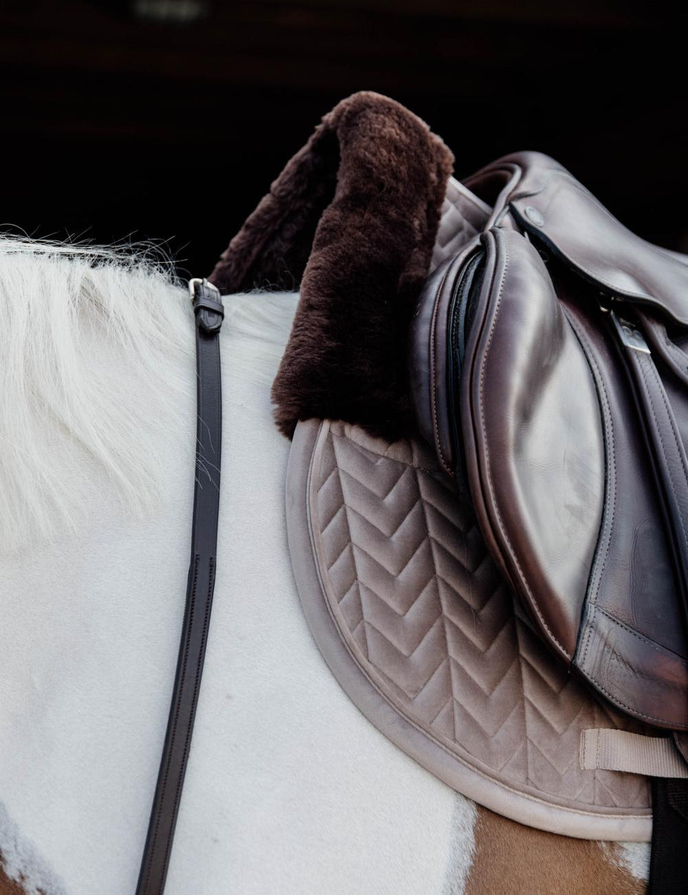 Kentucky Horsewear Skin Friendly Saddle Pad Velvet Jumping - Beige - Kentucky Horsewear - Equiluxe Tack