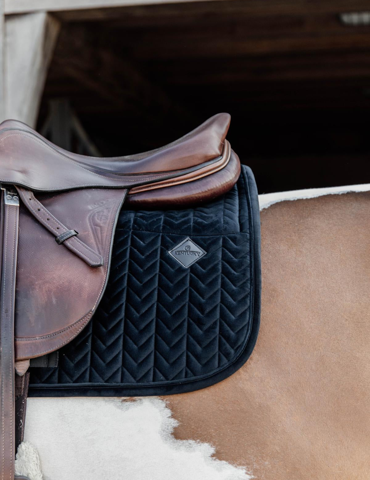Kentucky Horsewear Skin Friendly Saddle Pad Velvet Jumping - Black - Kentucky Horsewear - Equiluxe Tack