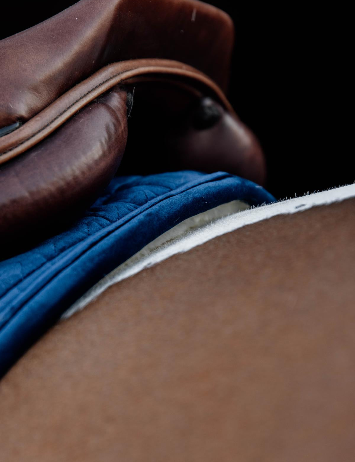 Kentucky Horsewear Skin Friendly Saddle Pad Velvet Jumping - Navy - Kentucky Horsewear - Equiluxe Tack