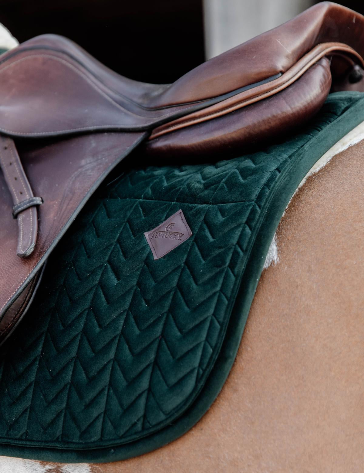 Kentucky Horsewear Skin Friendly Saddle Pad Velvet Jumping - Pine Green - Kentucky Horsewear - Equiluxe Tack