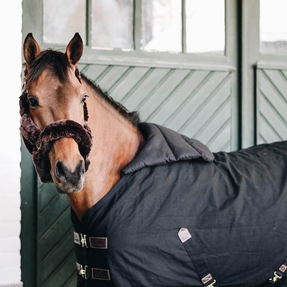 Kentucky Horsewear Summer Blanket BIB - Equiluxe Tack