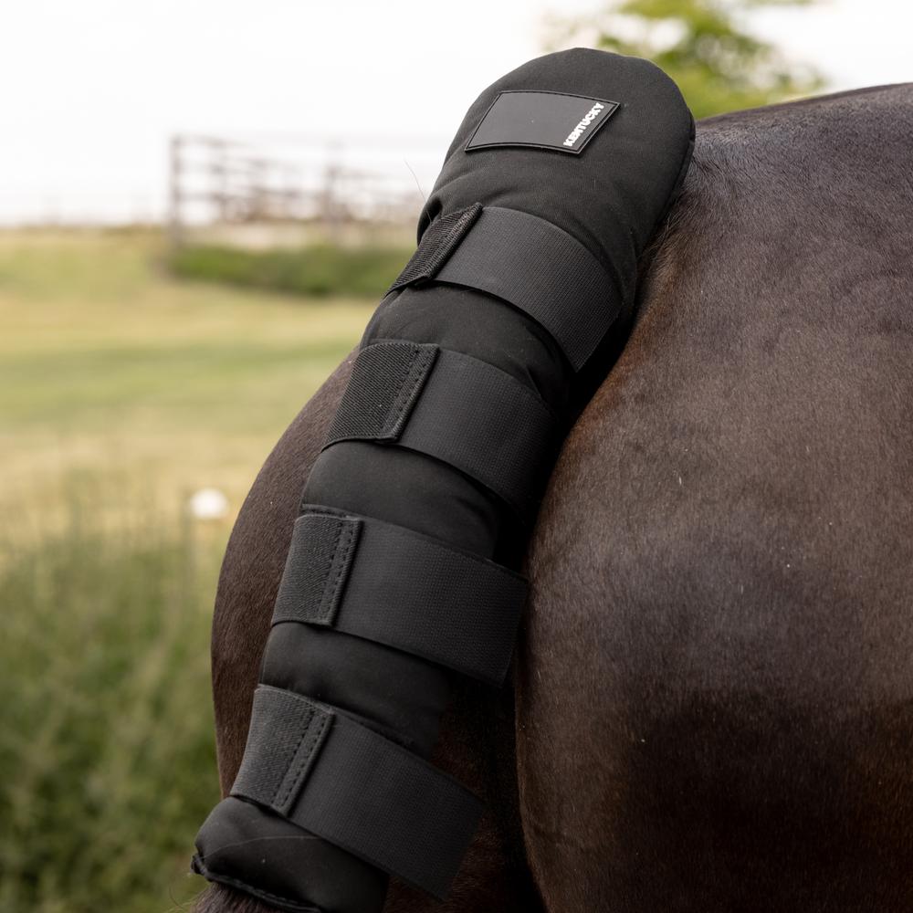 Kentucky Horsewear Tailguard Pro - Equiluxe Tack