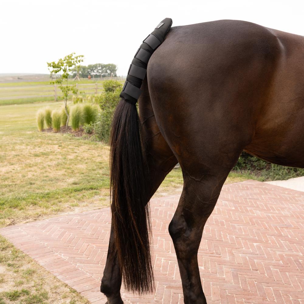 Kentucky Horsewear Tailguard Pro - Equiluxe Tack