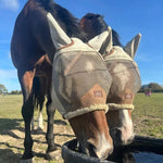 Kentucky Horsewear Tailguard Pro - Equiluxe Tack