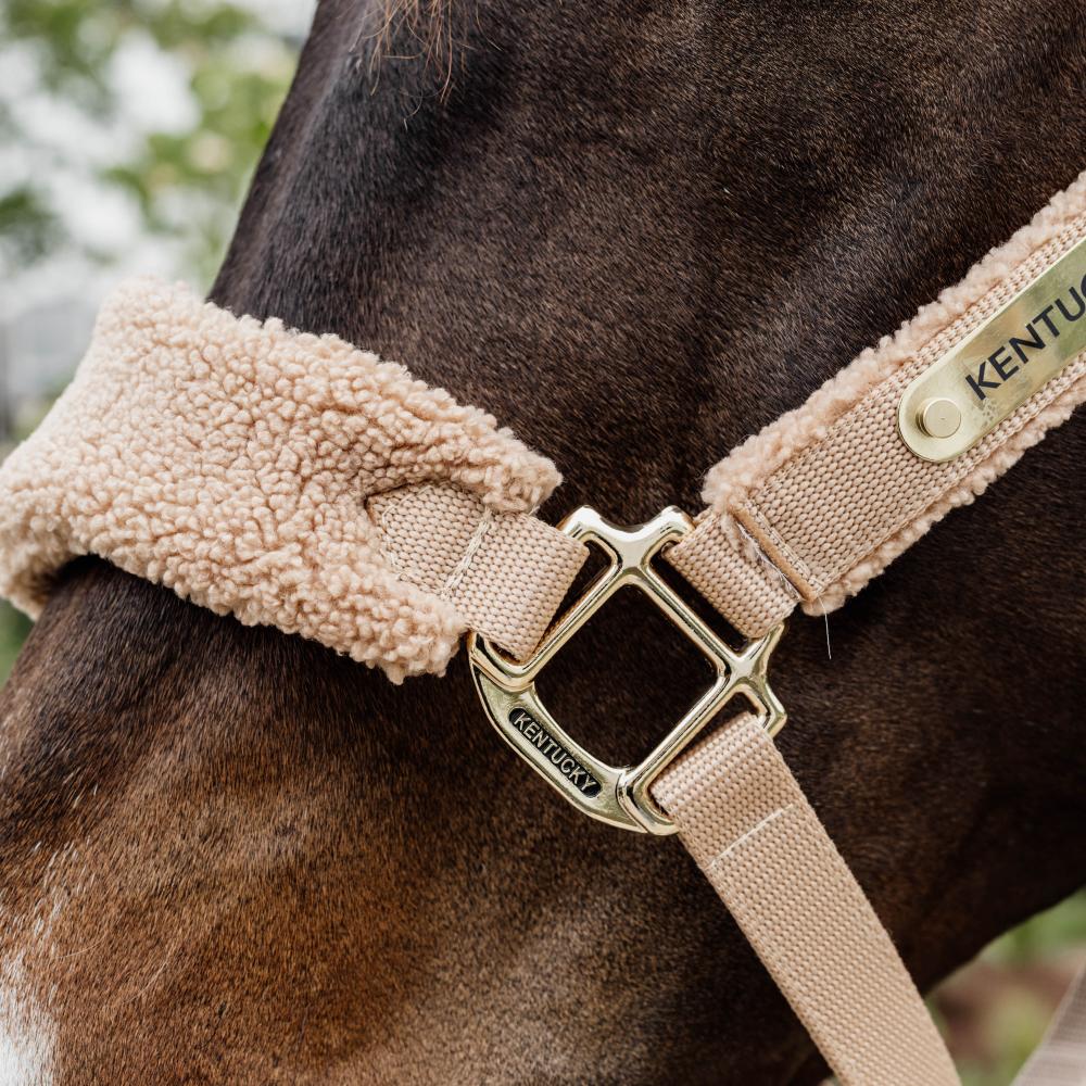 Kentucky Horsewear Teddy Fleece Halter - Equiluxe Tack