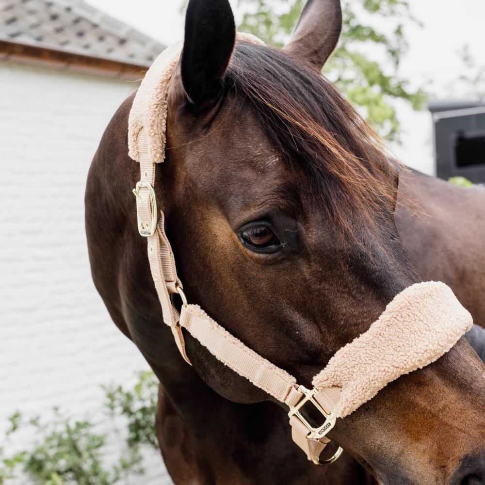 Kentucky Horsewear Teddy Fleece Halter - Equiluxe Tack
