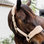 Kentucky Horsewear Teddy Fleece Halter - Equiluxe Tack