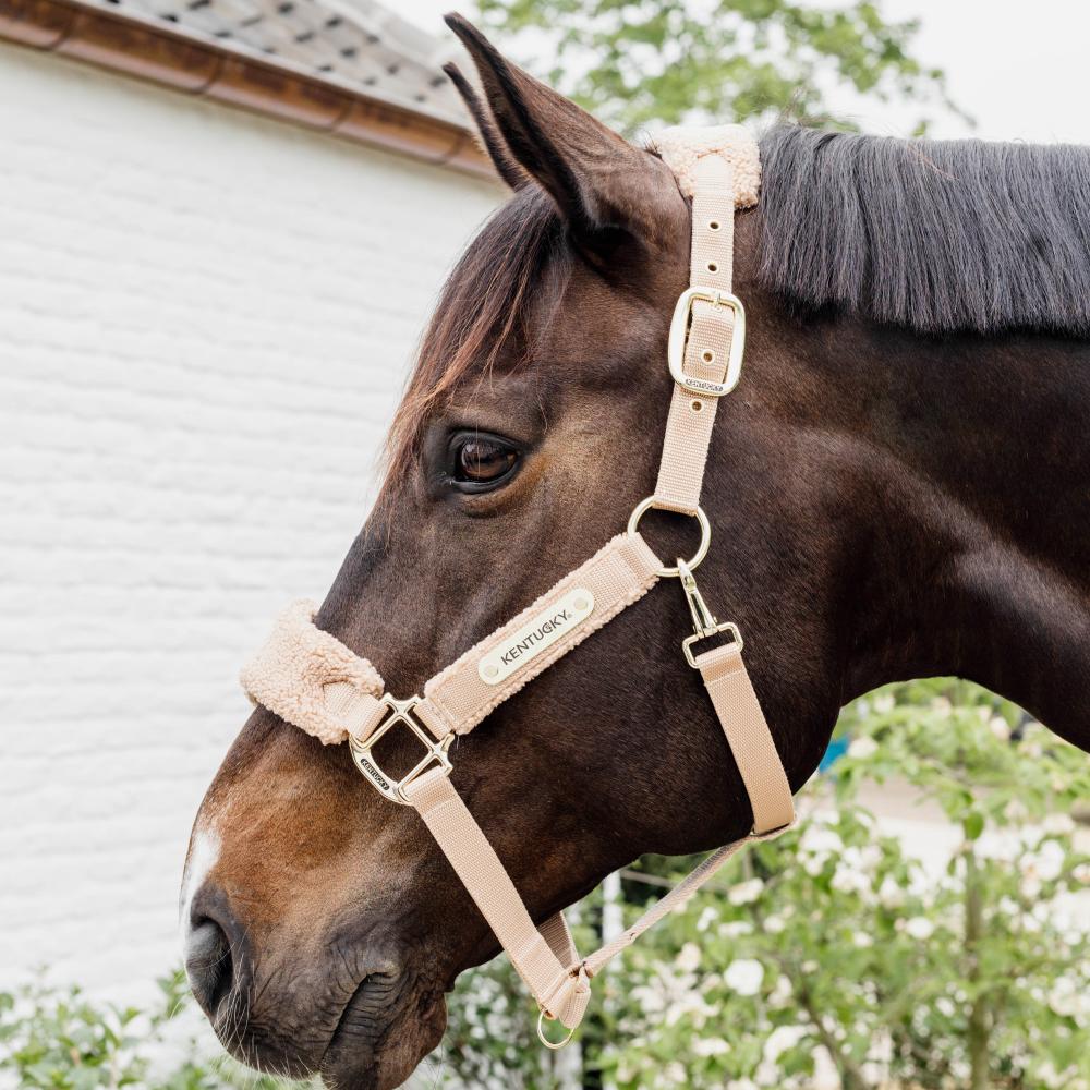 Kentucky Horsewear Teddy Fleece Halter - Equiluxe Tack