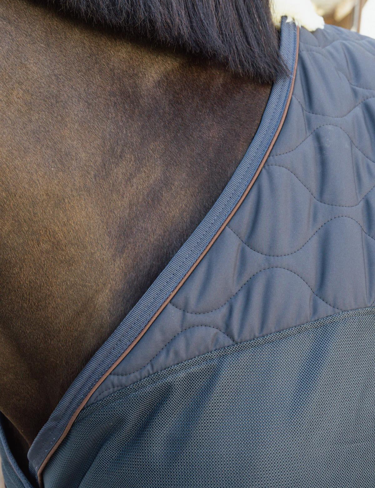 Kentucky Horsewear Transport Combo Cooler Fleece - Navy - Kentucky Horsewear - Equiluxe Tack