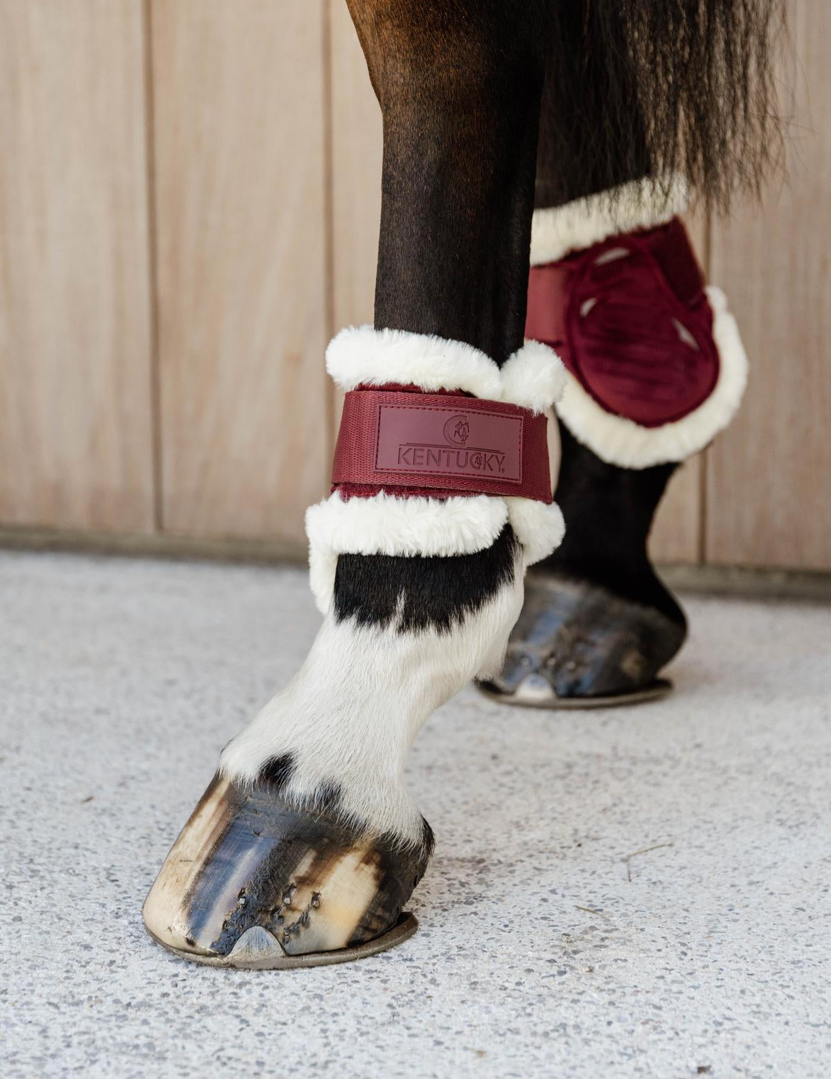 Kentucky Horsewear Vegan Sheepskin Young Horse Fetlock Boots Velvet - Bordeaux - Kentucky Horsewear - Equiluxe Tack