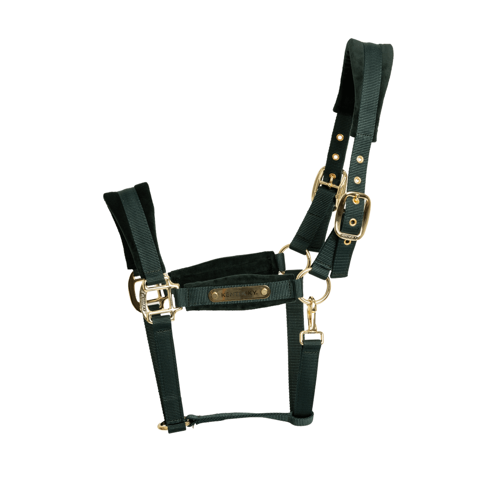 Kentucky Horsewear Velvet Halter - Equiluxe Tack