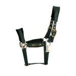 Kentucky Horsewear Velvet Halter - Equiluxe Tack