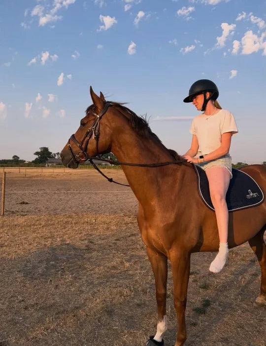 Kentucky Horsewear Velvet Halter - Equiluxe Tack