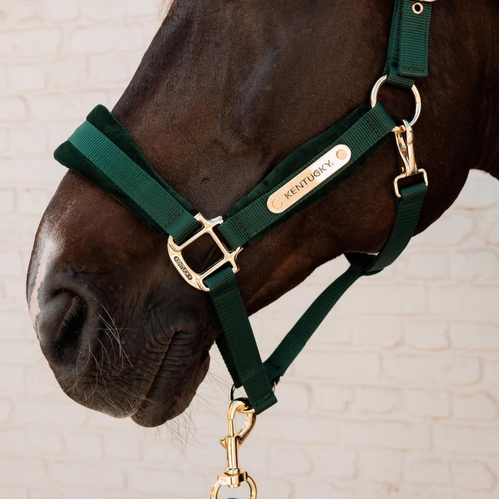 Kentucky Horsewear Velvet Halter - Equiluxe Tack
