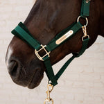 Kentucky Horsewear Velvet Halter - Equiluxe Tack