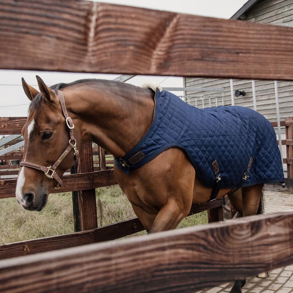 Kentucky Horsewear Walker Rug Navy 160g - Equiluxe Tack