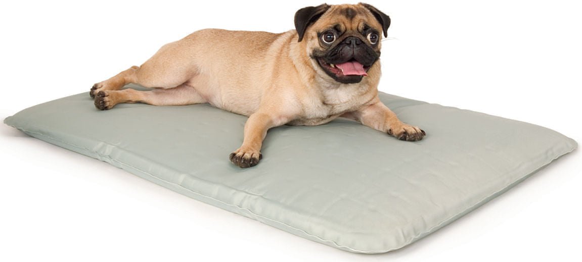 K&H Cool Bed III for Dogs - K&H - Equiluxe Tack