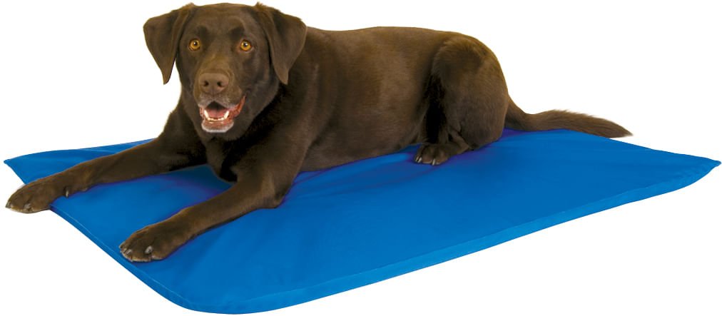 K&H Cool Bed III for Dogs - K&H - Equiluxe Tack