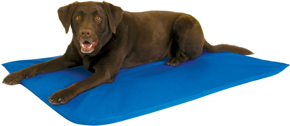 K&H Cool Bed III for Dogs - K&H - Equiluxe Tack