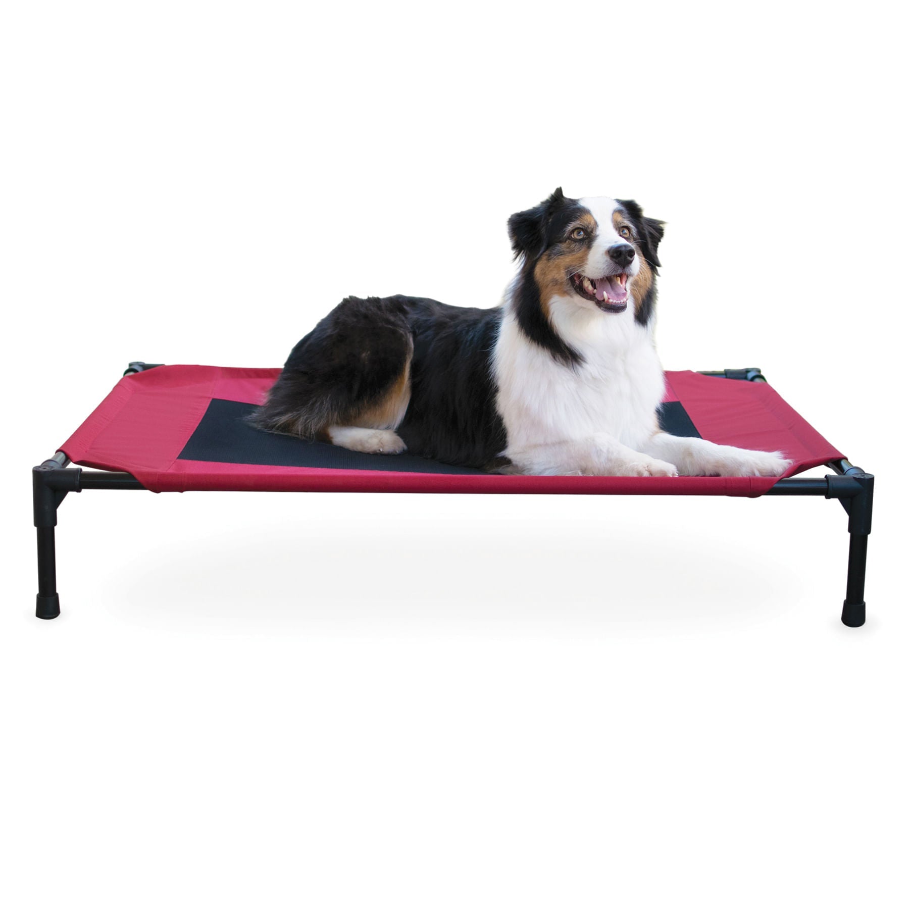 K&H Elevated Dog Bed, Small to X - Large - K&H - Equiluxe Tack