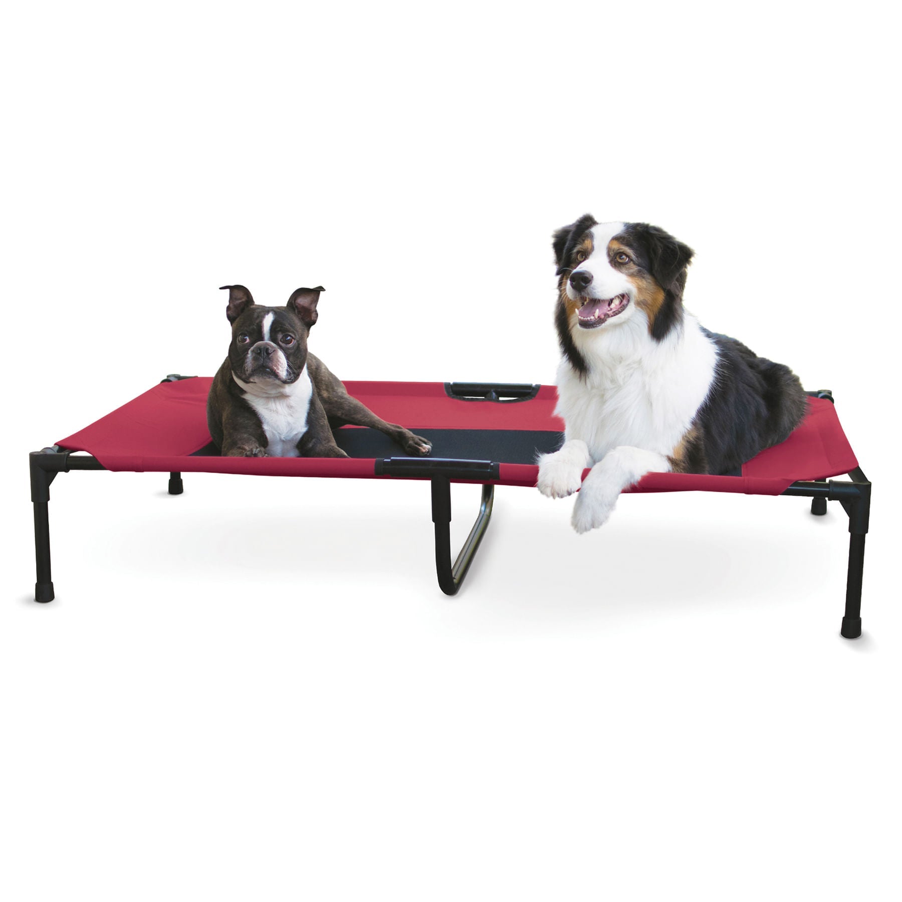 K&H Elevated Dog Bed, Small to X - Large - K&H - Equiluxe Tack