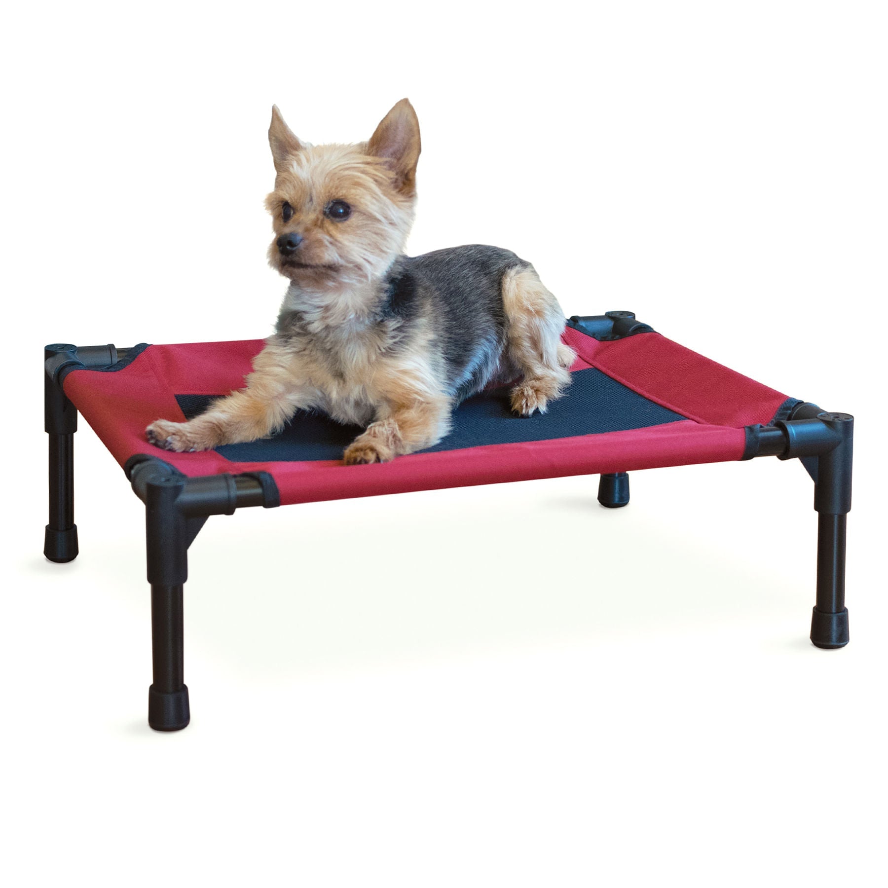 K&H Elevated Dog Bed, Small to X - Large - K&H - Equiluxe Tack