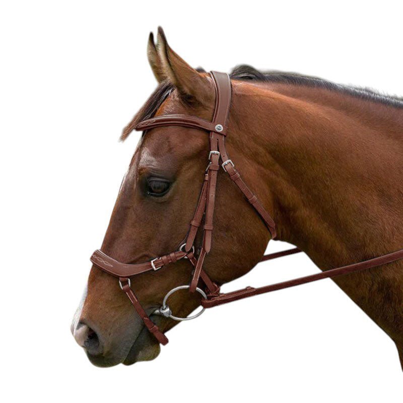Laureate by Henri de Rivel Anatomical Bridle w/ Rubber Reins - Henri de Rivel - Equiluxe Tack