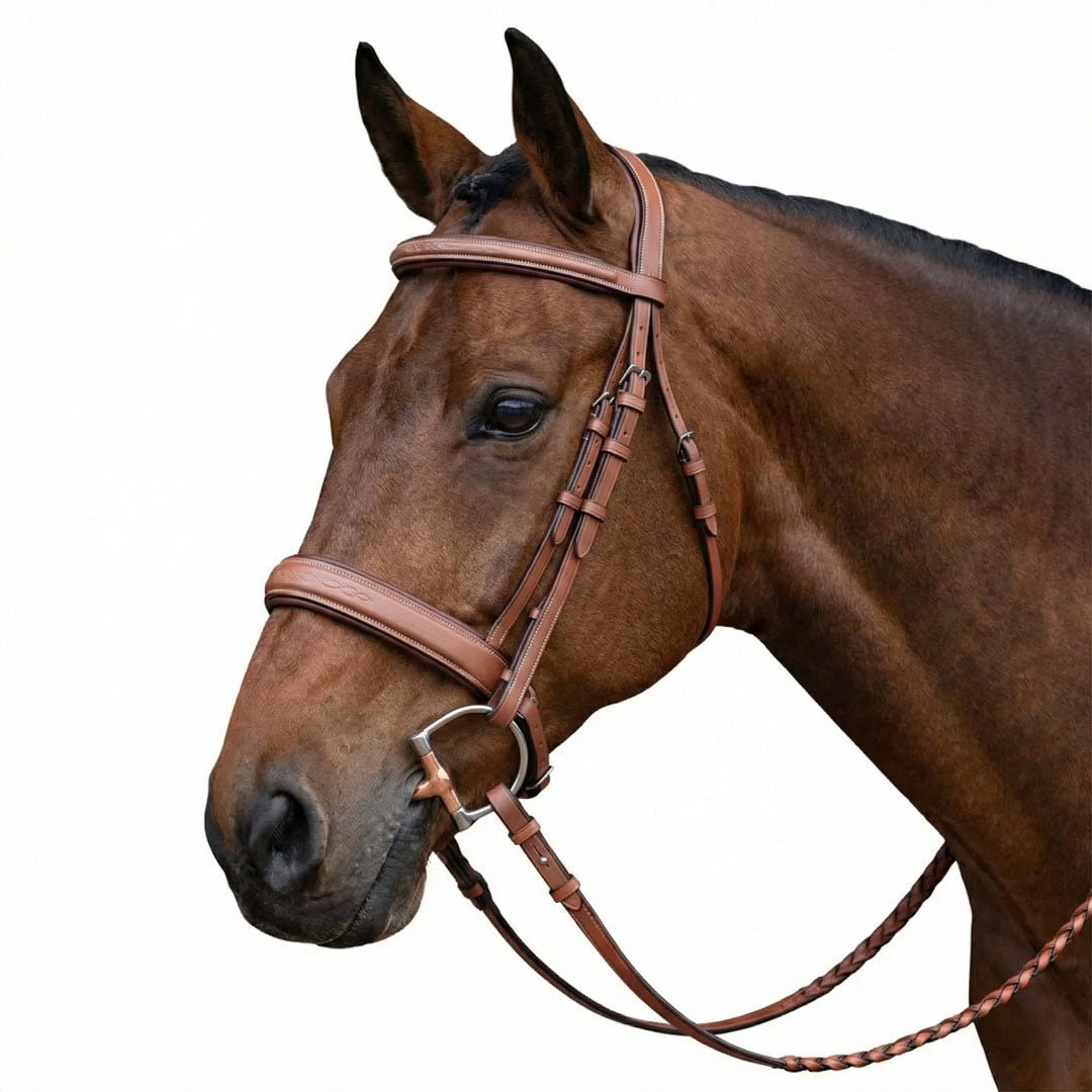 Laureate by Henri de Rivel Fancy Stitched Bridle w/ Wide Caveson and Laced Reins - Henri de Rivel - Equiluxe Tack