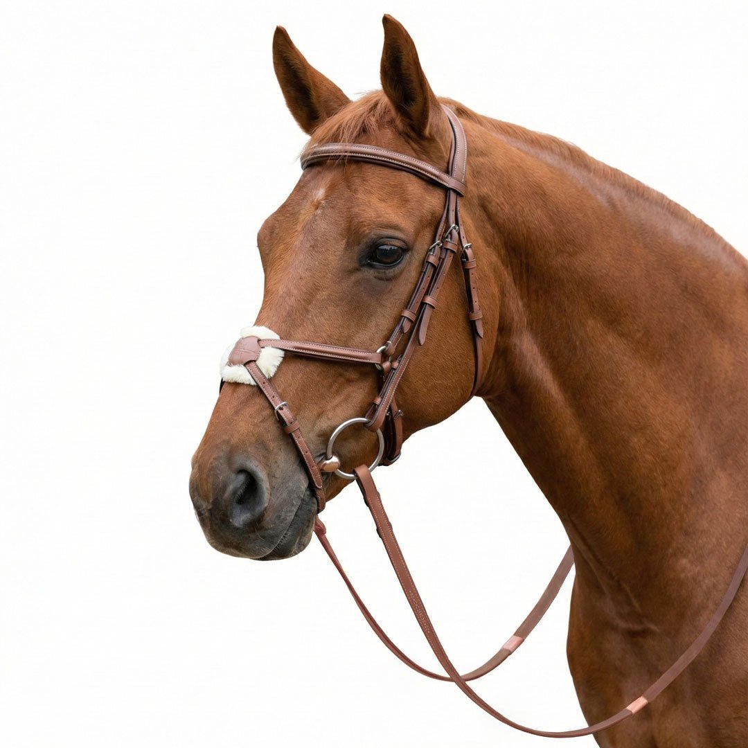 Laureate by Henri de Rivel Figure 8 Bridle w/ Rubber Reins - Henri de Rivel - Equiluxe Tack