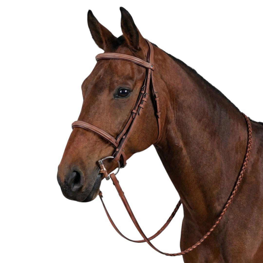 Laureate by Henri de Rivel Raised Fancy Stitched Bridle w/ Laced Reins - Henri de Rivel - Equiluxe Tack