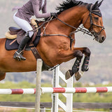 Lavender Poppy Seed Hunter Show Jacket - Espoir Equestrian - Equiluxe Tack