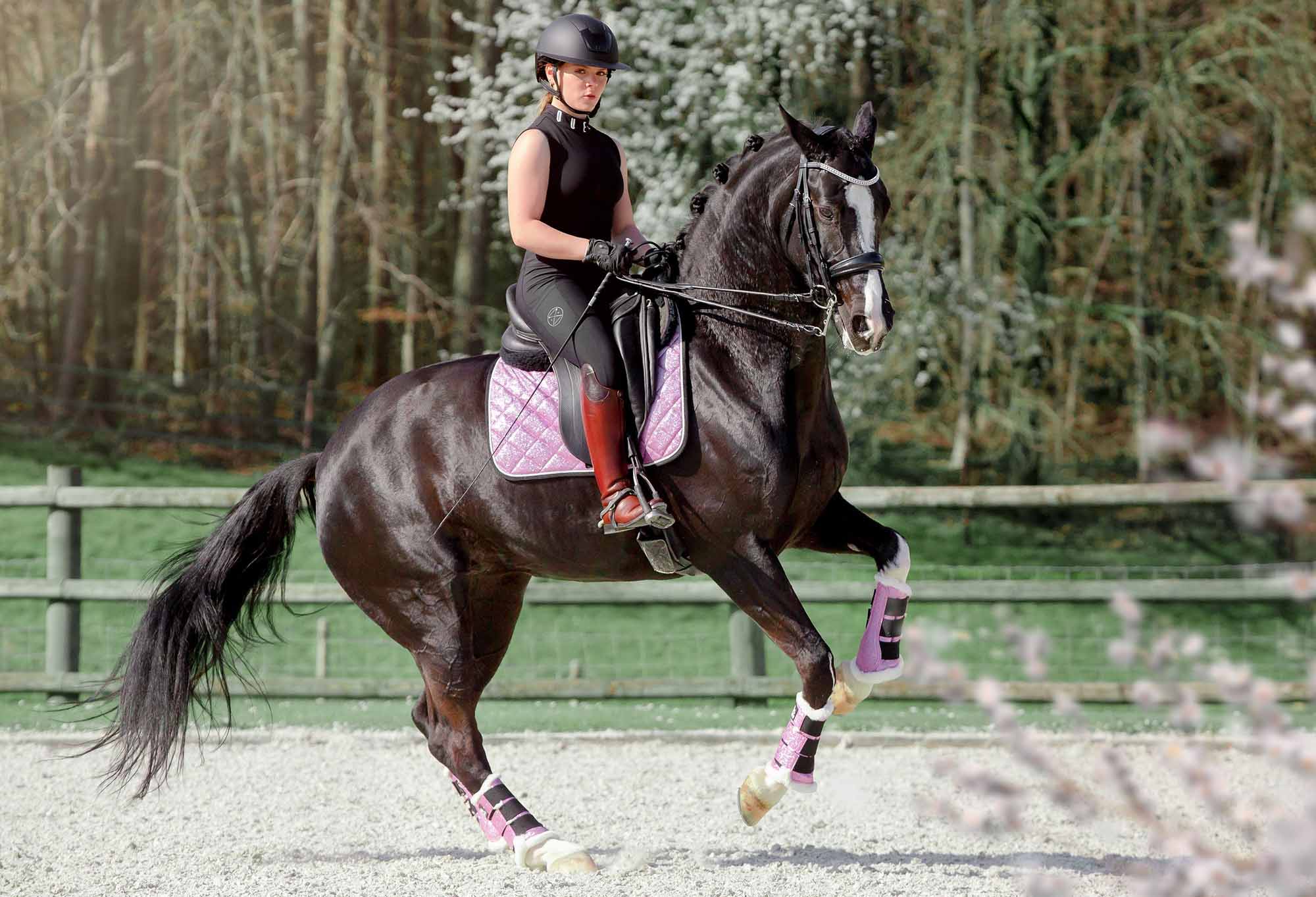 Lavender Saddle Pad - Equestroom - Equiluxe Tack