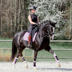 Lavender Saddle Pad Set - Equestroom - Equiluxe Tack