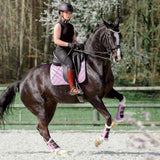 Lavender Saddle Pad Set - Equestroom - Equiluxe Tack