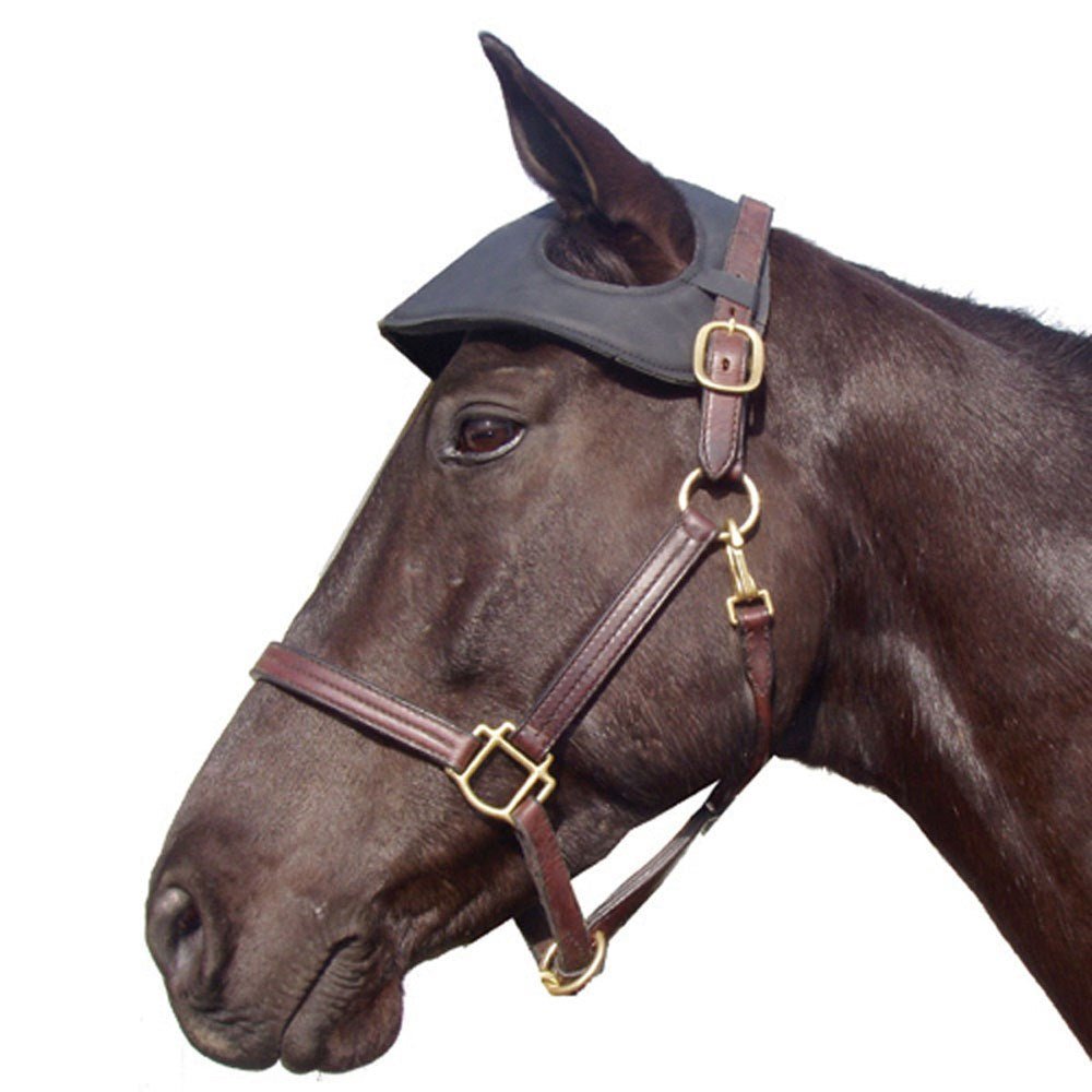 Leather Covered Neoprene Horse Head Bumper - Equiluxe Tack - Equiluxe Tack