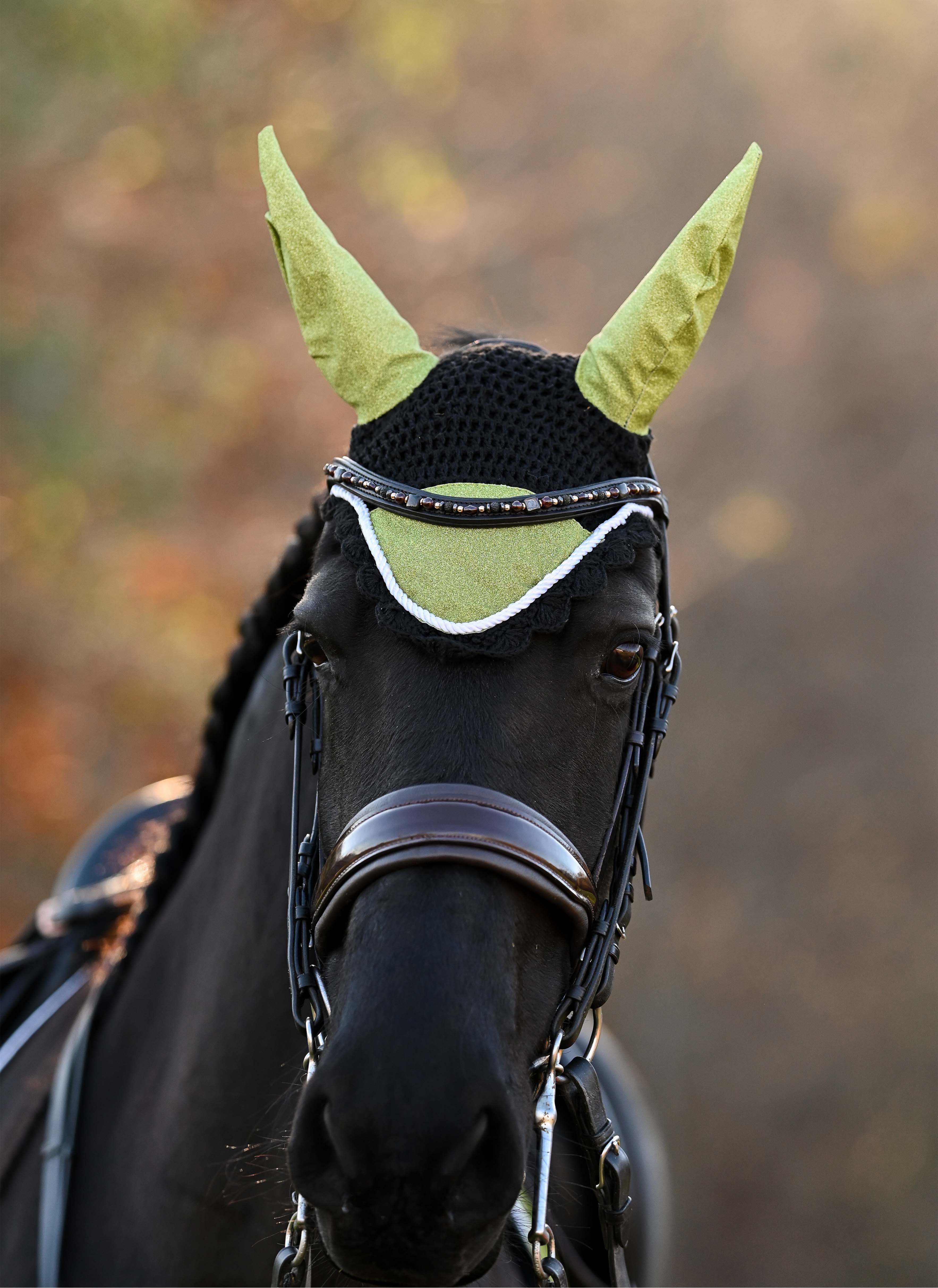 Lemongrass Fly Hat - Equestroom - Equiluxe Tack