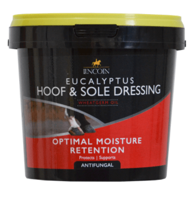 Lincoln Eucalyptus Hoof & Sole Dressing - 1 litre - Lincoln - Equiluxe Tack
