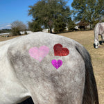 Lots of Love - glittermarxponies - Equiluxe Tack