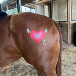 Lots of Love - glittermarxponies - Equiluxe Tack