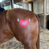 Lots of Love - glittermarxponies - Equiluxe Tack