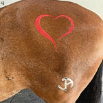 Lots of Love - glittermarxponies - Equiluxe Tack