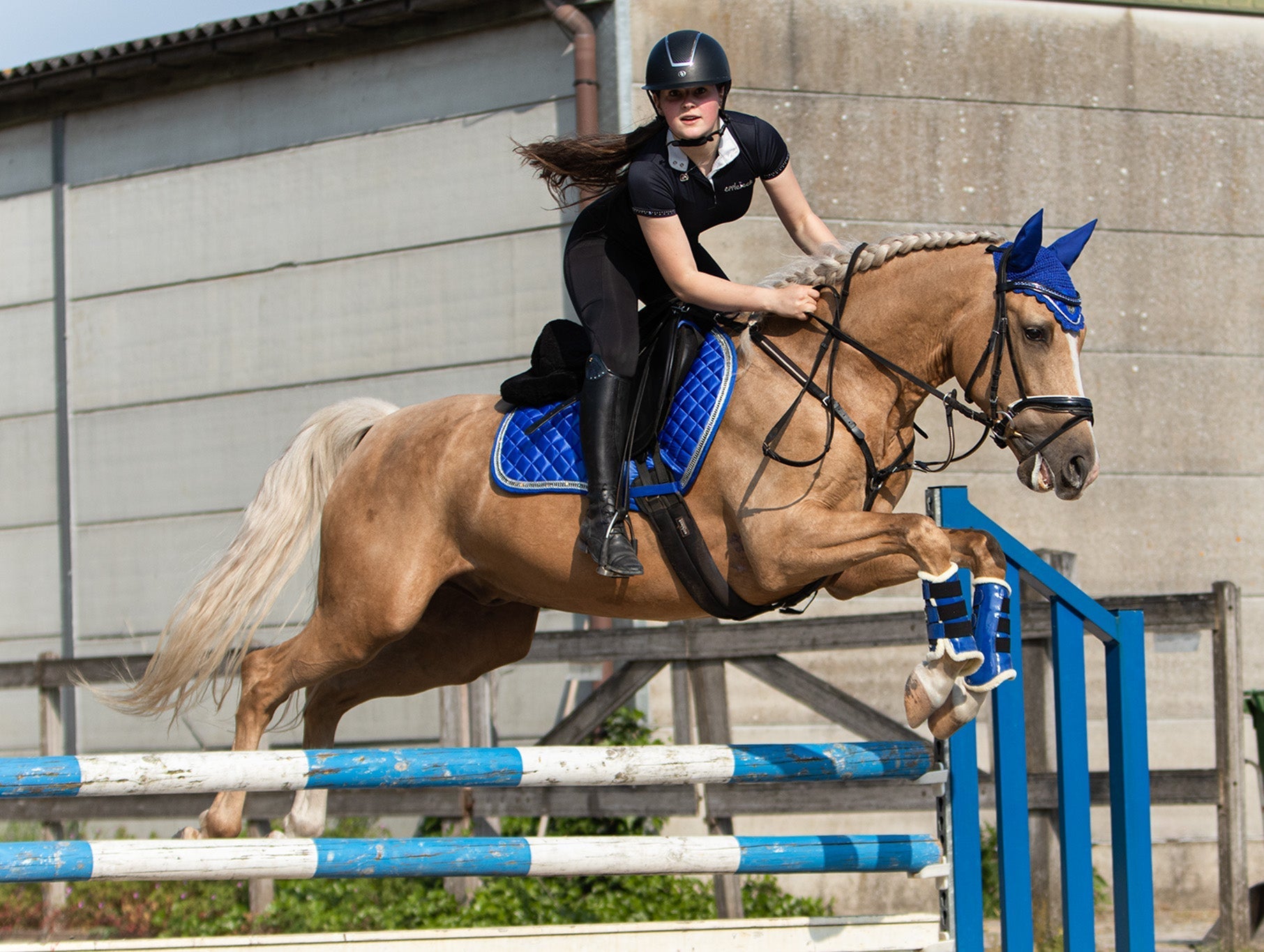 Majorelle Blue Saddle Pad Set - Equestroom - Equiluxe Tack