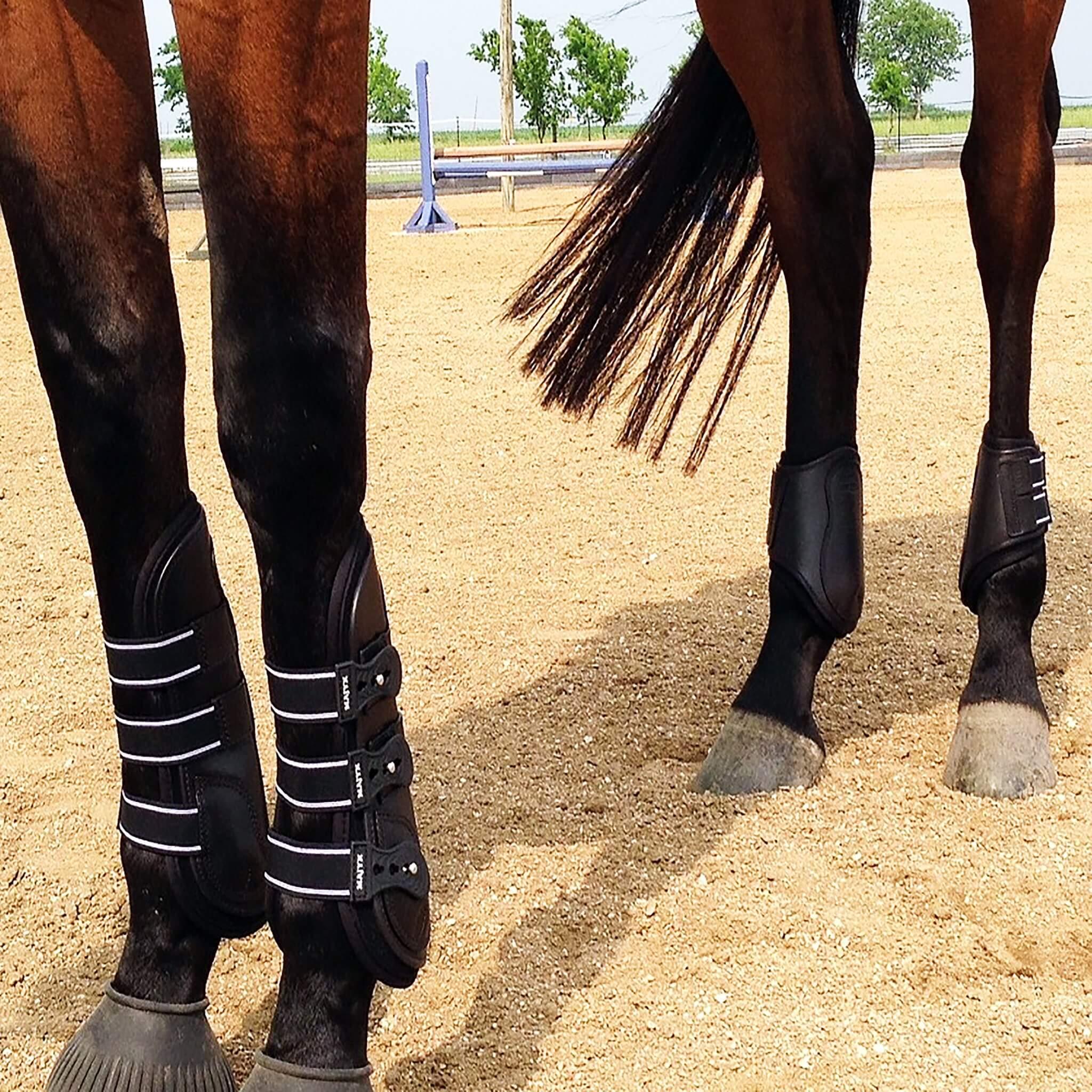 Majyk Equipe Boyd Martin Leather Hind Boot with Removable Liner - Majyk Equipe - Equiluxe Tack