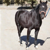 Majyk Equipe Boyd Martin Leather Tendon Boot with Removable Impact Liner - Majyk Equipe - Equiluxe Tack