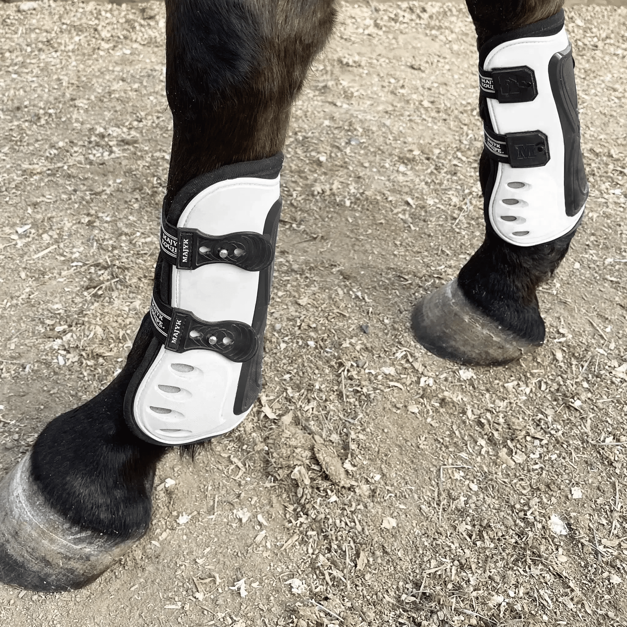 Majyk Equipe Boyd Martin Stadium Tendon Jump Boot with ARTi - LAGE Technology - Majyk Equipe - Equiluxe Tack