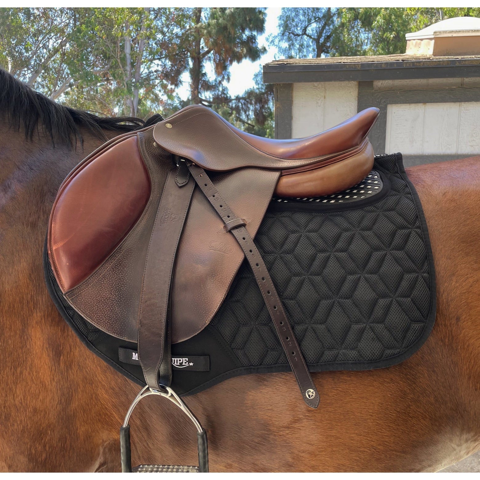 Majyk Equipe Contact - X Anti - Slip All Purpose Pad - Majyk Equipe - Equiluxe Tack