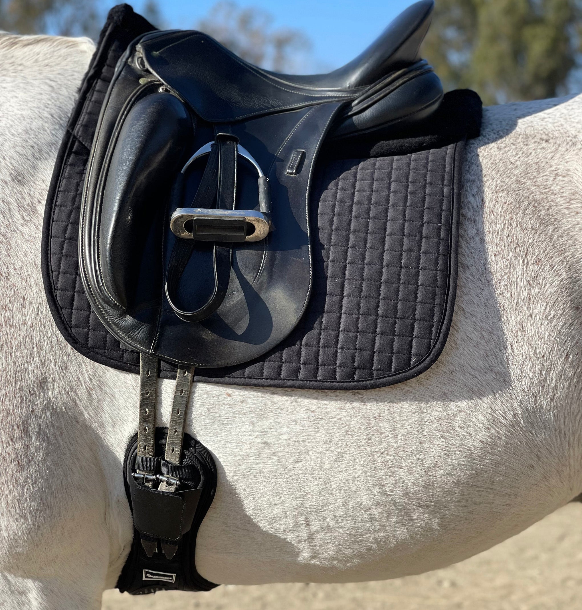 Majyk Equipe Ergonomics Spur Saver Dressage Girth with Buckle Guards - Majyk Equipe - Equiluxe Tack