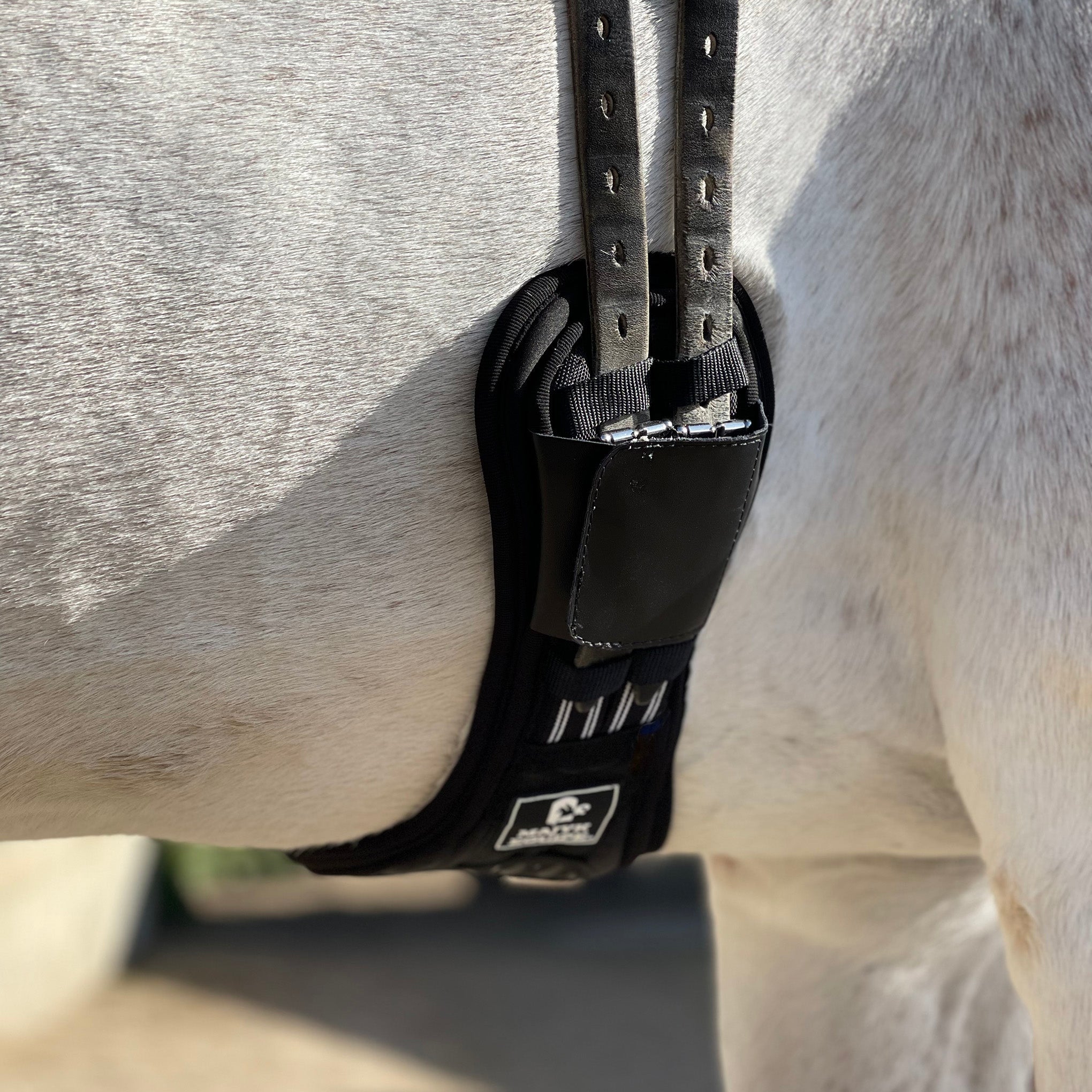 Majyk Equipe Ergonomics Spur Saver Dressage Girth with Buckle Guards - Majyk Equipe - Equiluxe Tack